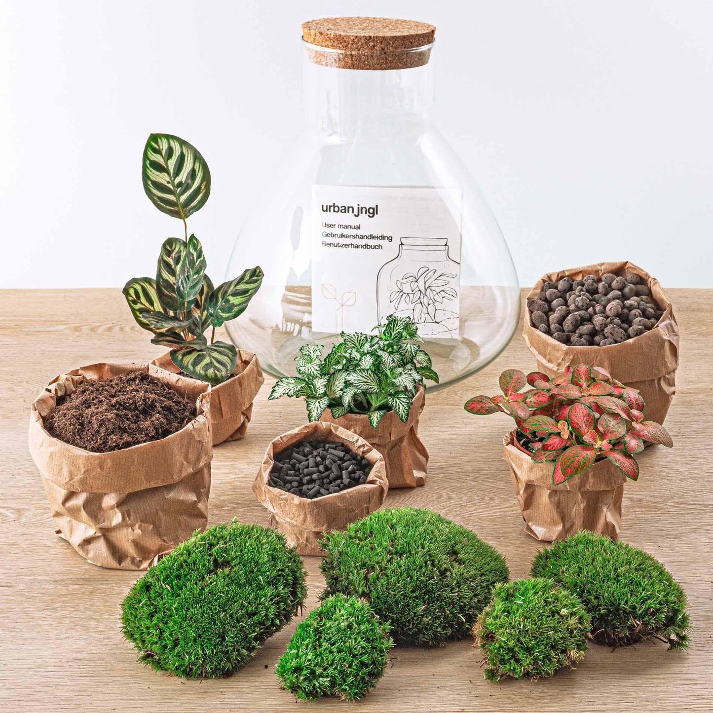 Flaschengarten Sam XL Rot – DIY Bausatz Terrarium – ↕35cm – Do-It-Yourself Pflanzen-Set – Autarkes Mini-Ökosystem – Inkl. Pflanzen, Erde & Zubehör – Perfekt für Wohnung & Büro