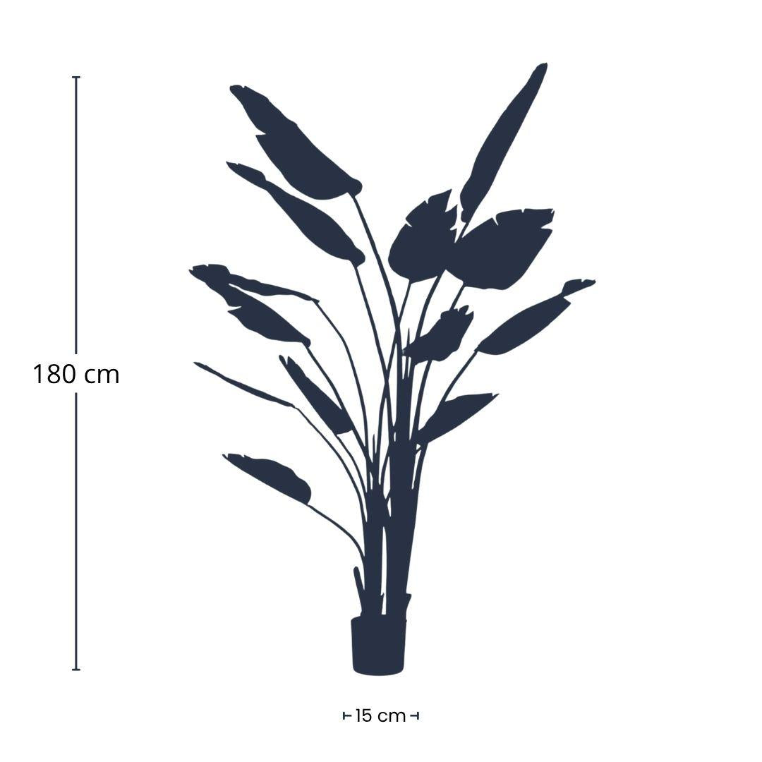 Strelitzia nicolai – 180cm – Kunstpflanze im schwarzen Topf – XXL Deko-Pflanze für Innenbereich – tropische Banane