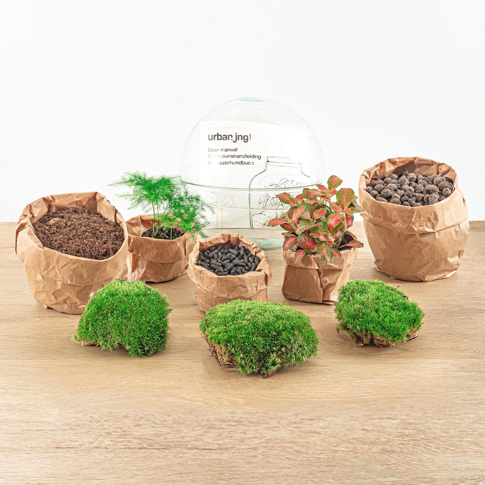 DIY Flaschengarten Set – Dome Glas Rot – Ø20 cm x H20 cm – Selbstversorgendes Pflanzterrarium mit Fittonia, Spargel & Moos – Mini-Ökosystem zum Selberbauen – Deko & Geschenkidee – Pflegeleicht