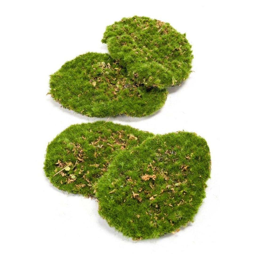 Mosplaat – Groen mos – Set van 4 – Kunstmos