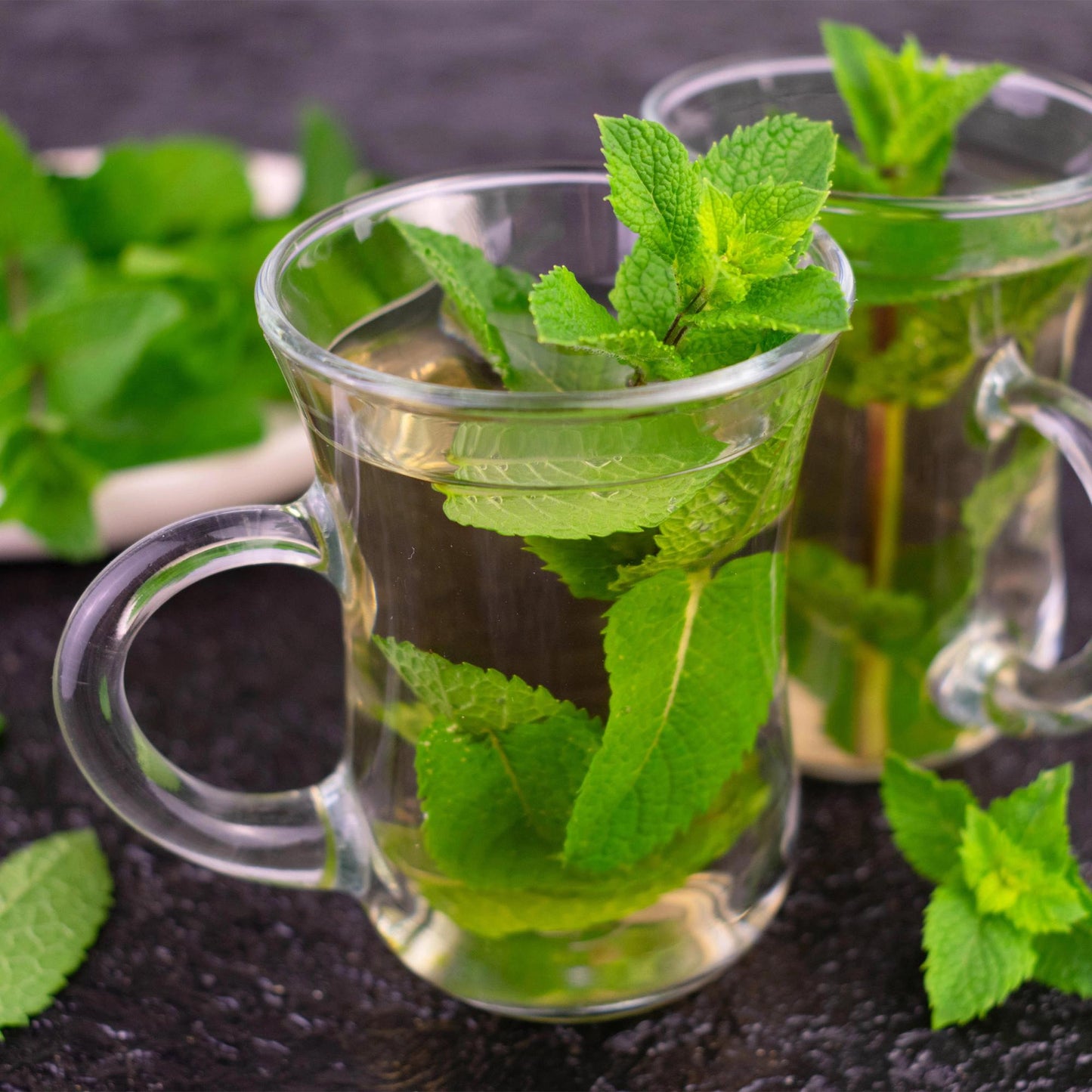 Staudenset „Teekräuter“ – 8 aromatische Kräuterstauden für ca. 1 m² – Für frischen Kräutertee aus dem eigenen Garten – Pflegeleichtes Kräuterpaket – Ø11 cm
