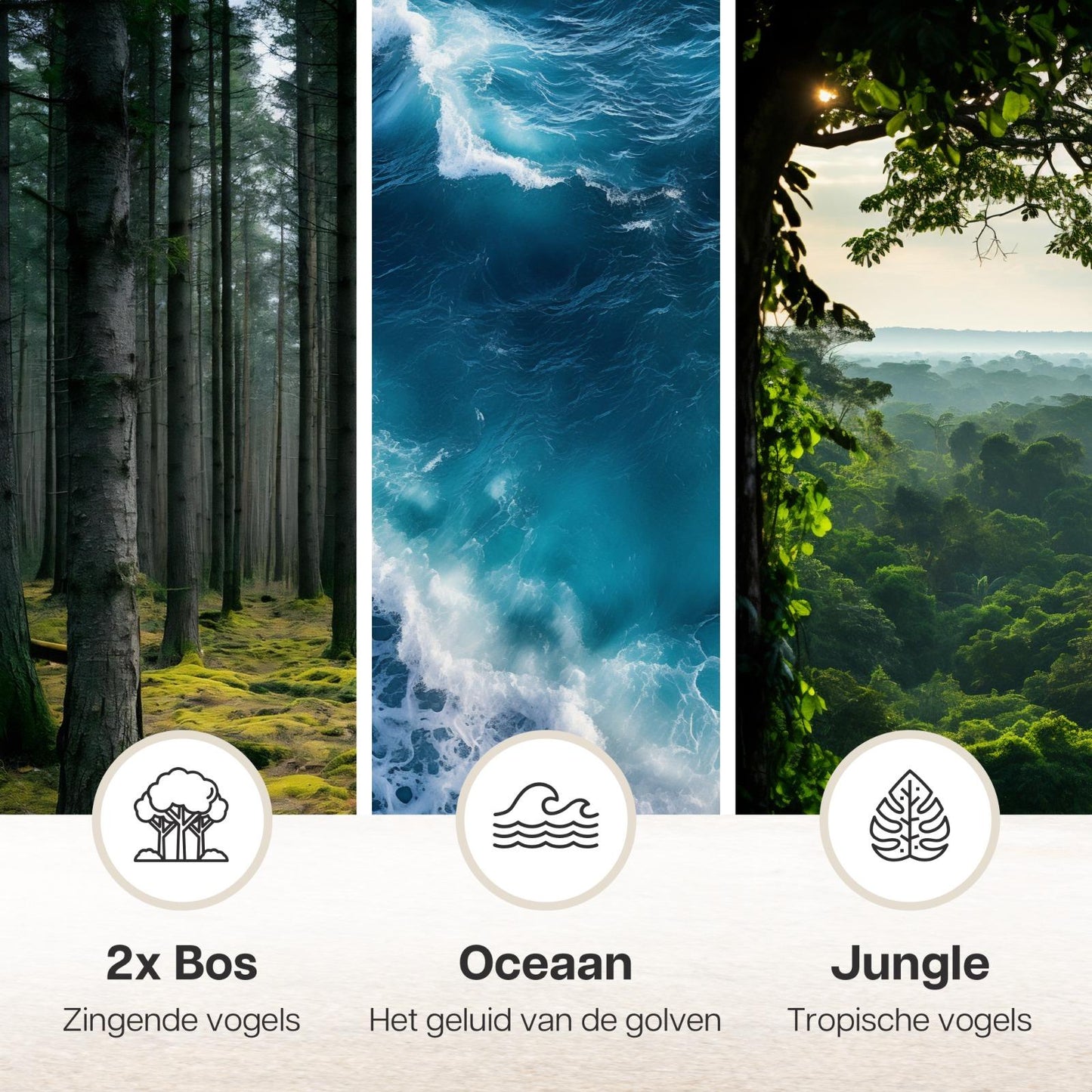 Melodiez Musikbox Weiß – Naturklänge mit Bewegungssensor – Kompakte Soundbox für beruhigende Vogelstimmen, Meeresrauschen & Dschungelklänge – Inklusive Batterien – Elegantes Design