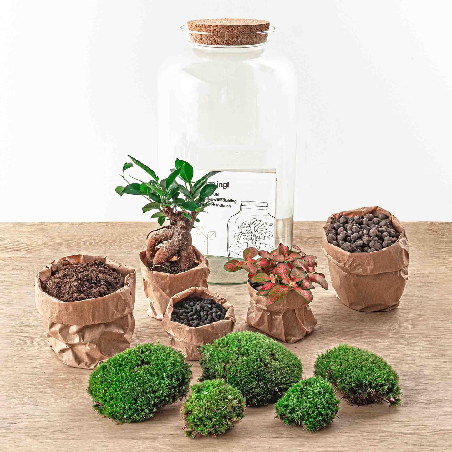 Flaschengarten Sven Bonsai – DIY Bausatz Terrarium – ↕43cm – Do-It-Yourself Pflanzen-Set im Glas mit Korkdeckel – Autarkes Mini-Ökosystem – Inkl. Ficus Ginseng Bonsai, Fittonia & Moos – Für Wohnung & Büro