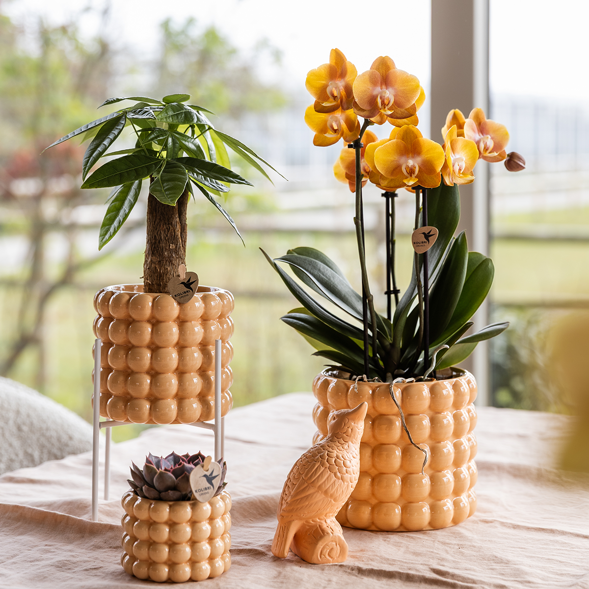 Kolibri Home | Poppy Ziertopf - Peach - Ø6cm