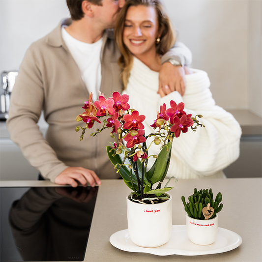 Kolibri Home | I Love You Ziertopf - Ø6cm