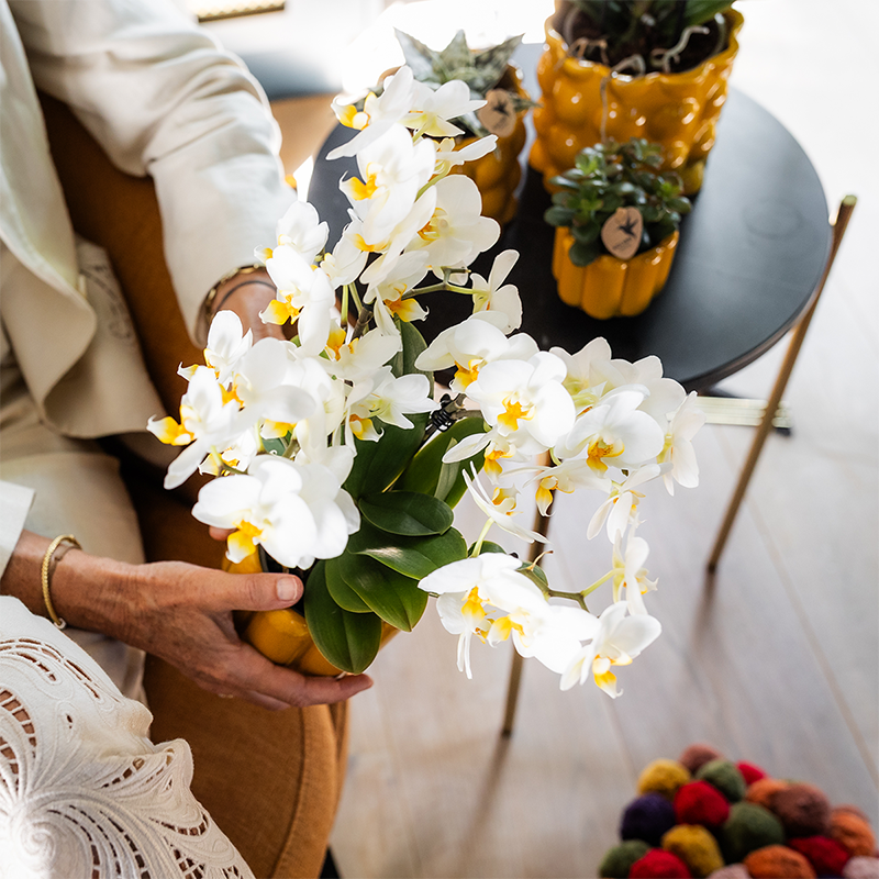 Kolibri Orchids | Pflanzengeschenk gute Besserung | Lausanne-Orchidee mit Topf, Karte & Geschenktasche