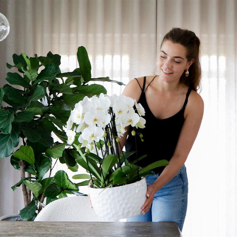 Keramik-Pflanzschale mit Honig-Muster – Pflanzgefäß – Ø30 cm – Dekorativer Blumentopf – Für Orchideen & Zimmerpflanzen