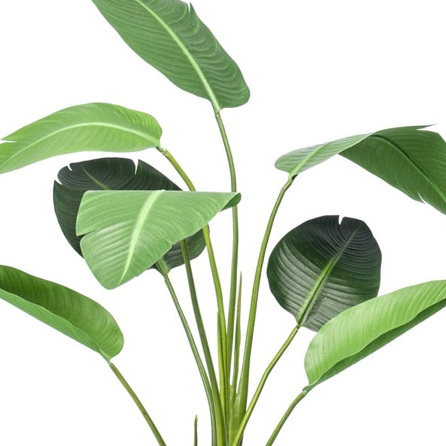 Strelitzia Kunstpflanze – 120 cm – schwarzer Topf – Tropischer Zimmerpflanzen-Look ohne Pflege – Große Deko-Pflanze für Wohnzimmer, Büro & Flur