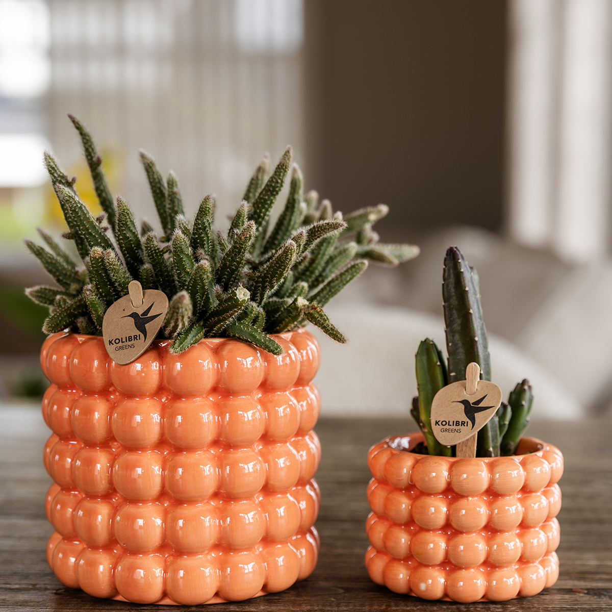 Kolibri Home | Poppy Ziertopf - Orange - Ø9cm