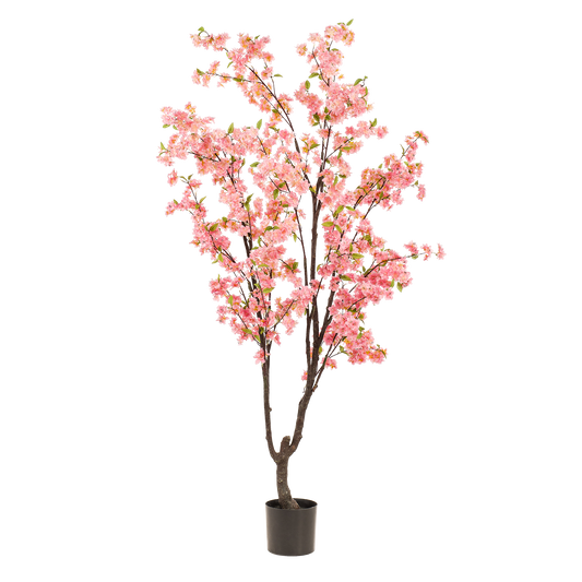 Kunstpflanze Kirschblüte – Prunus – Rosa – Höhe 210 cm – Täuschend echt – Dekopflanze für Wohnzimmer, Büro & Events – Pflegeleicht & langlebig