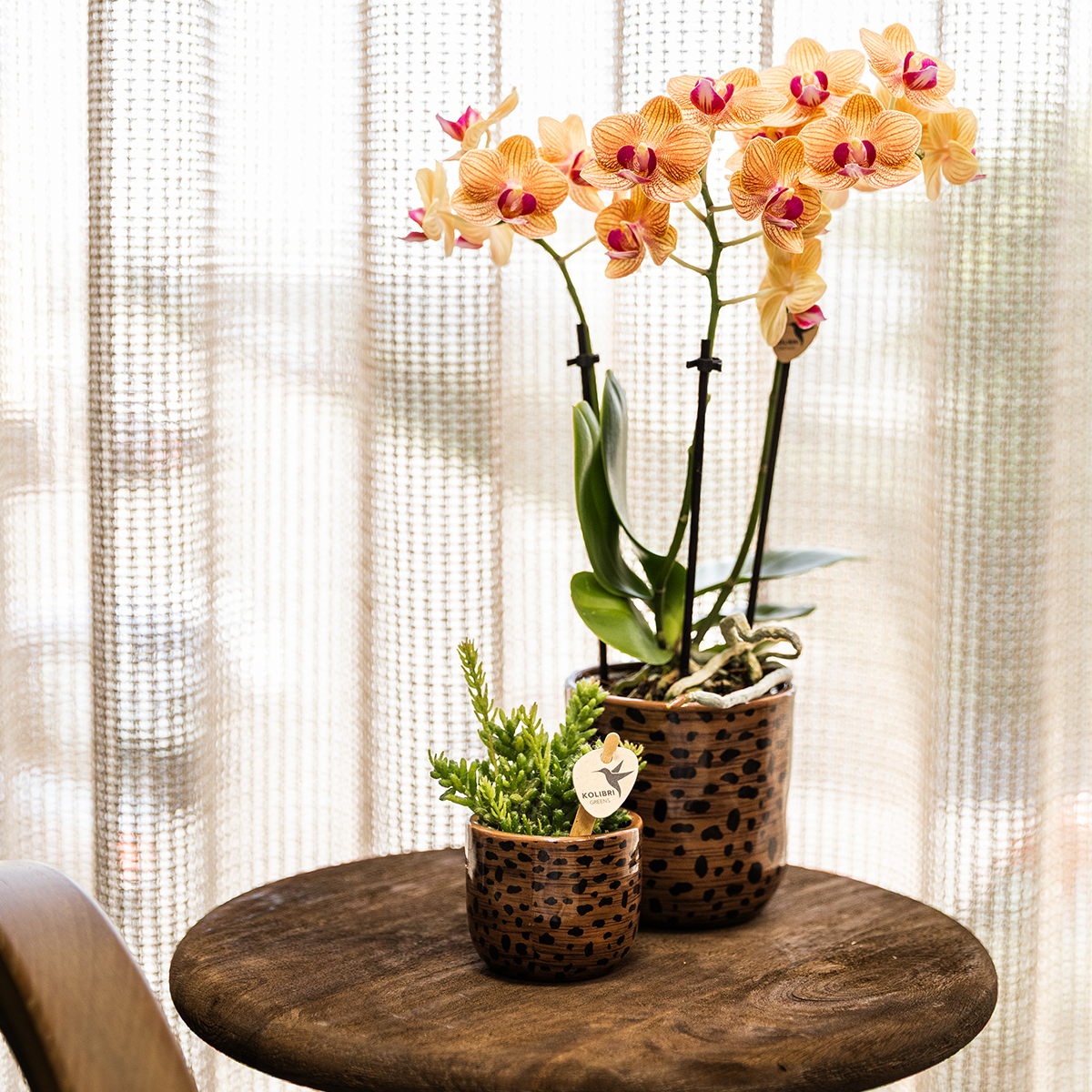 Leoparden-Ziertopf – Ø6 cm – Dekotopf mit Leopardenmuster – Pflanztopf aus Keramik – Blumentopf für kleine Zimmerpflanzen & Sukkulenten – Braun/Schwarz – Indoor-Deko