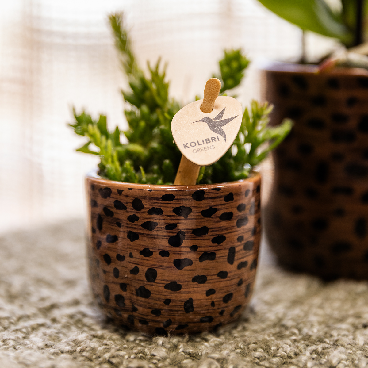 Leoparden-Ziertopf – Ø6 cm – Dekotopf mit Leopardenmuster – Pflanztopf aus Keramik – Blumentopf für kleine Zimmerpflanzen & Sukkulenten – Braun/Schwarz – Indoor-Deko
