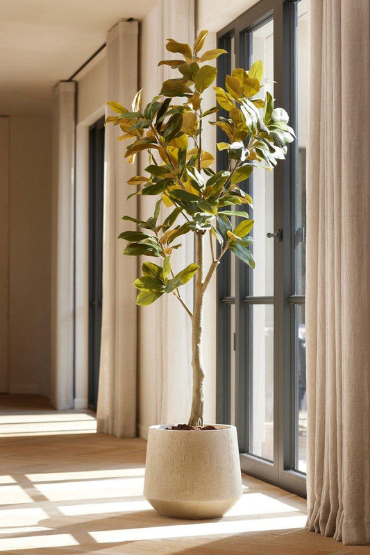 Magnolia Denudata – 150 cm Kunstbaum – Künstliche Magnolie Weiß – Pflegeleichte Deko für Zuhause & Büro
