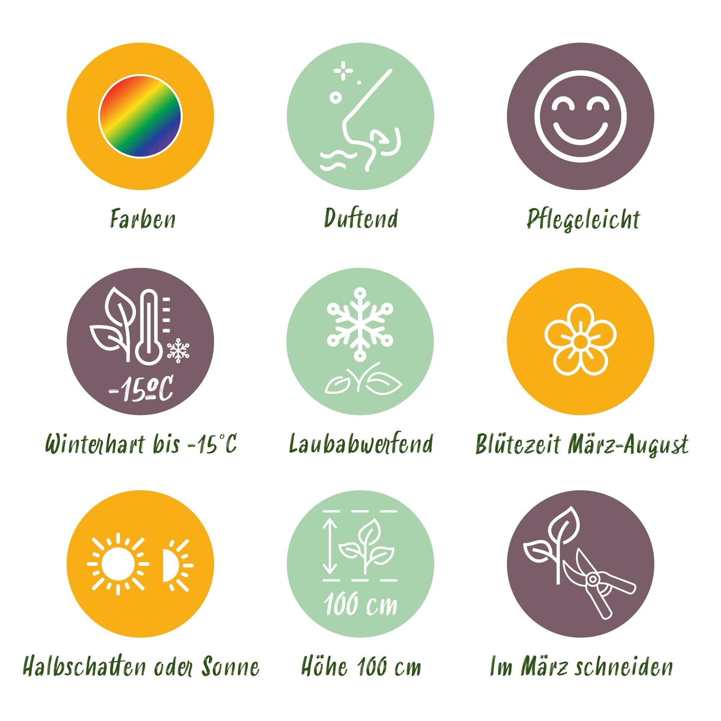 Staudenset – Duftend – 8 verschiedene Duftstauden – Für 1 m² Beet – Bienenfreundlich – Pflegeleicht – Blüten in verschiedenen Farben – Ø11 cm