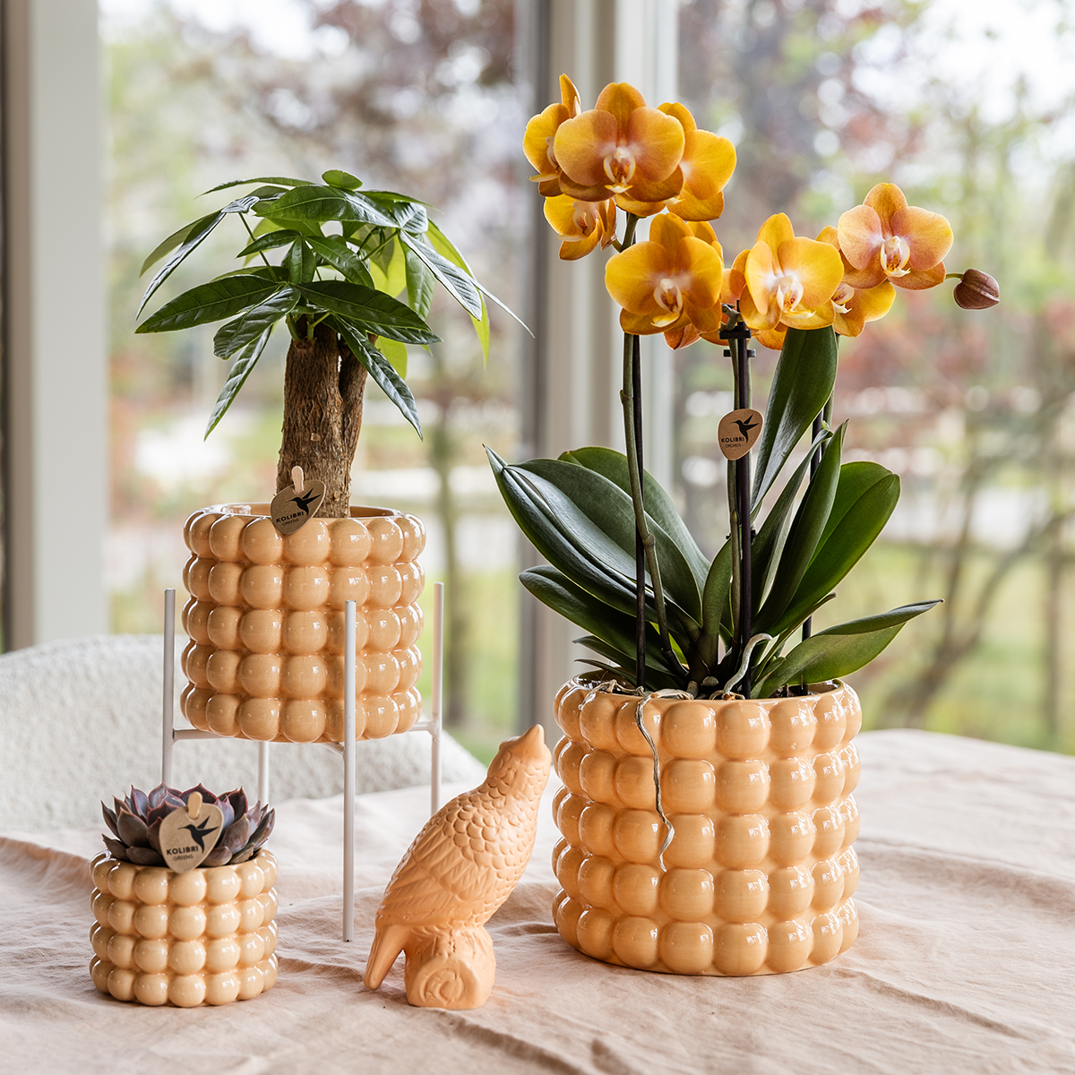 Kolibri Home | Poppy Ziertopf - Peach - Ø9cm