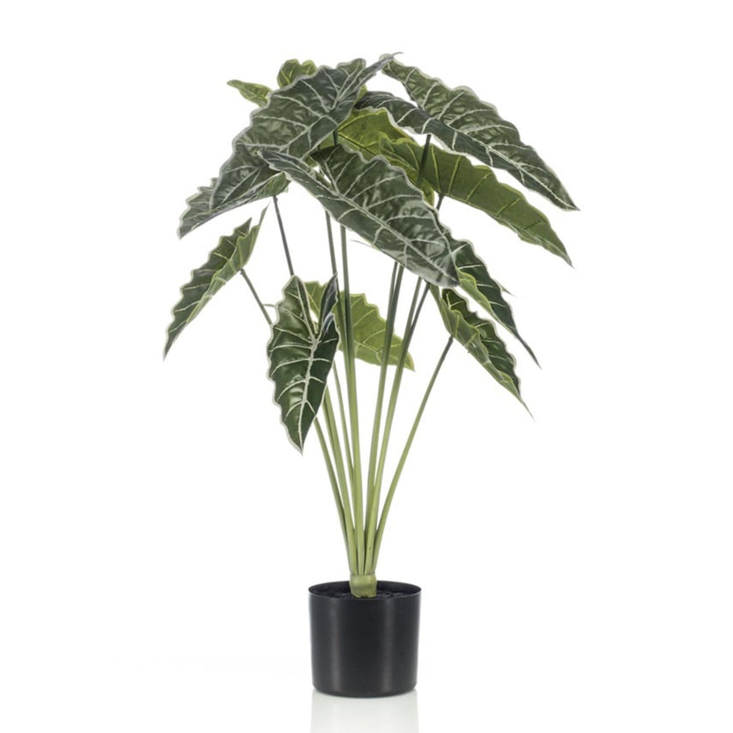 Alocasia Kunstpflanze 80cm – Tropischer Blickfang in Grün – Pflegeleicht & Realistisch – Ohne Gießen – Für Wohnzimmer, Büro & Gastronomie