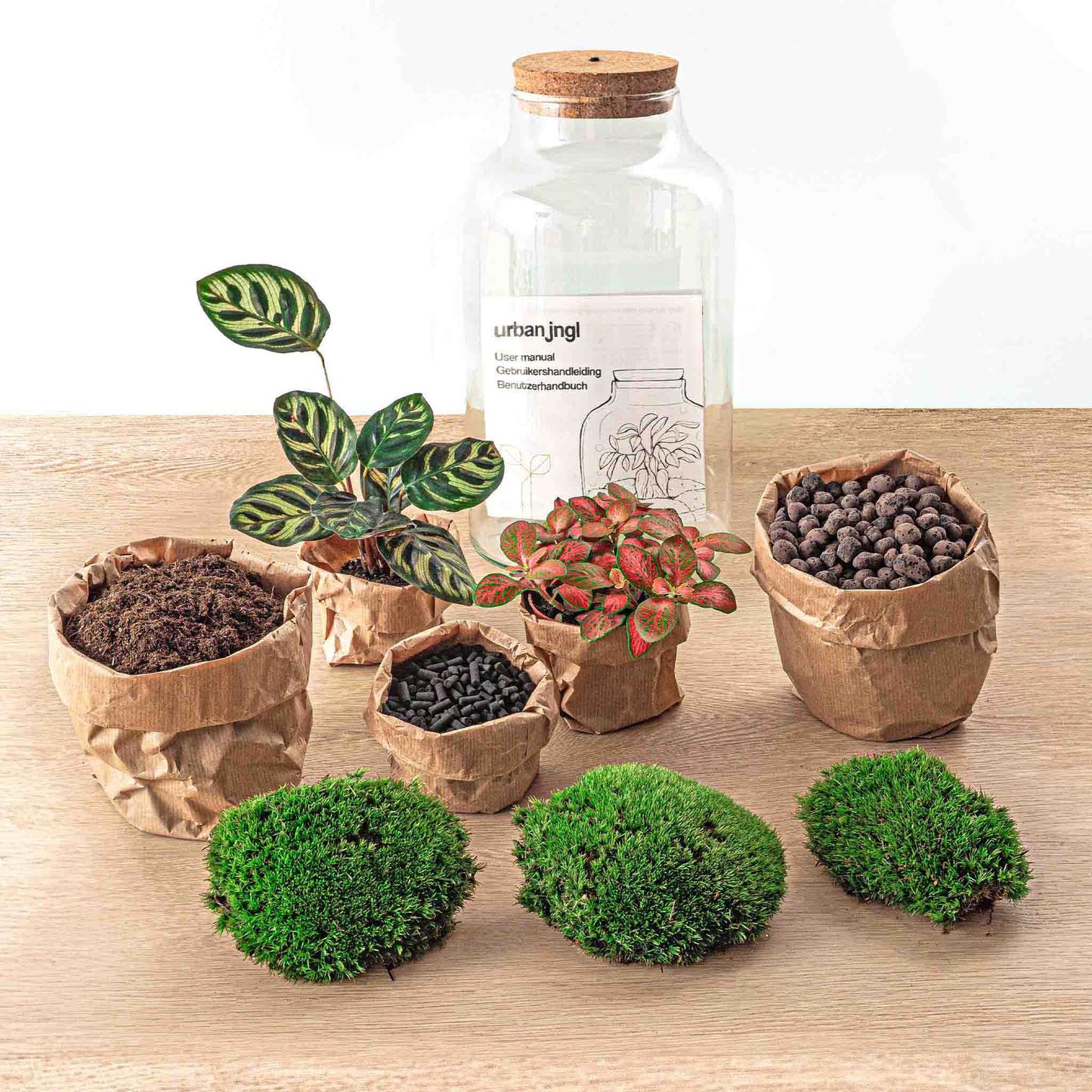 Flaschengarten - DIY Bausatz - Terrarium - Milky Calathea mit LED - ↕31cm