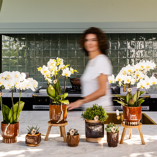 Kolibri Home | Classy Cube Ziertopf - Ø6cm