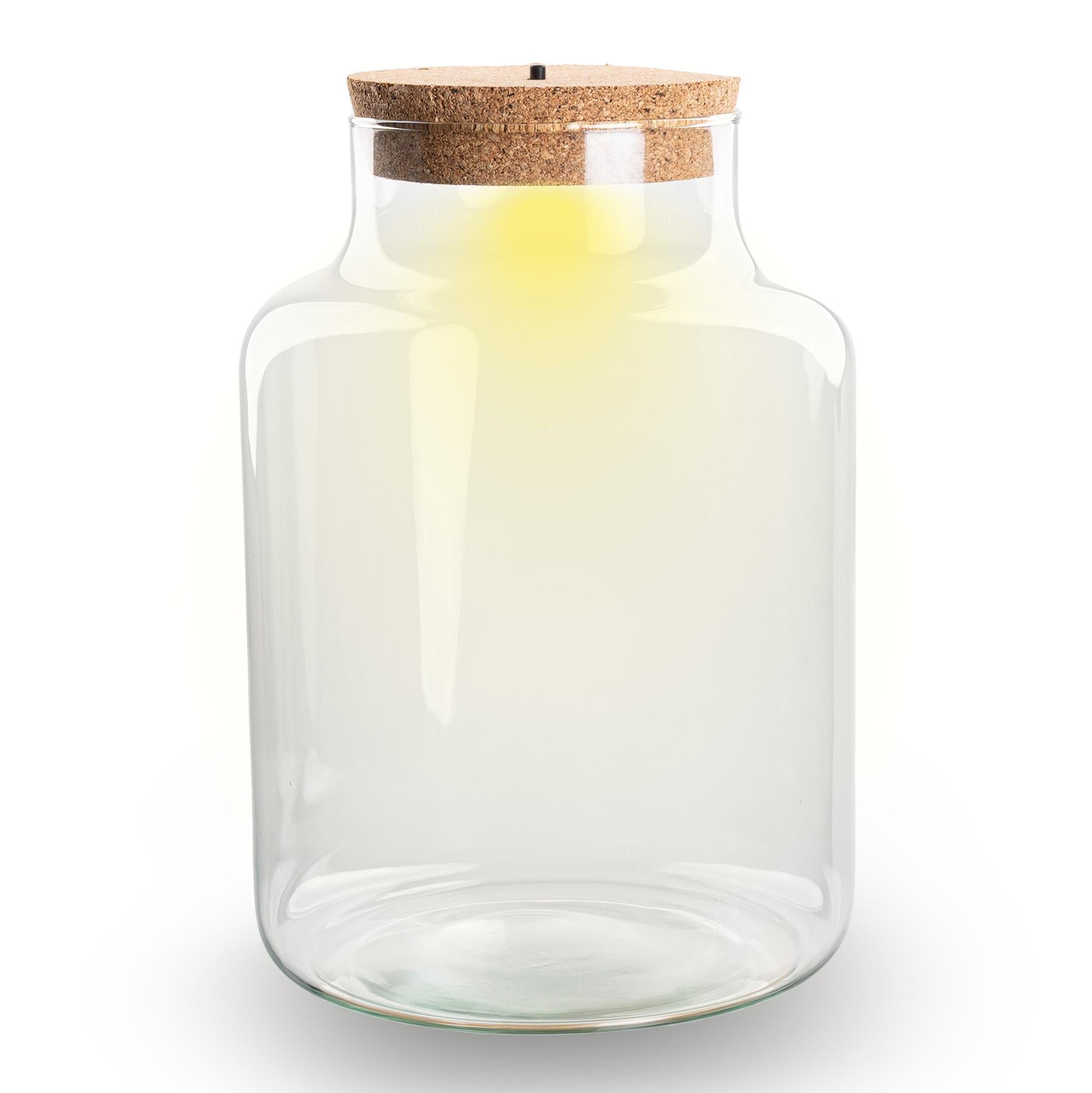 Terrarium fles met kurk - Little Milky met led kurk - Gesloten groot terrarium ↑ 24.5 cm