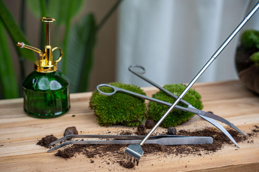 Terrarienpinzette – Edelstahl – 26cm – Lange Greifpinzette für Terrarium & Flaschengarten – Rostfreie Präzisionspinzette zum Pflanzen, Dekorieren & Reinigen