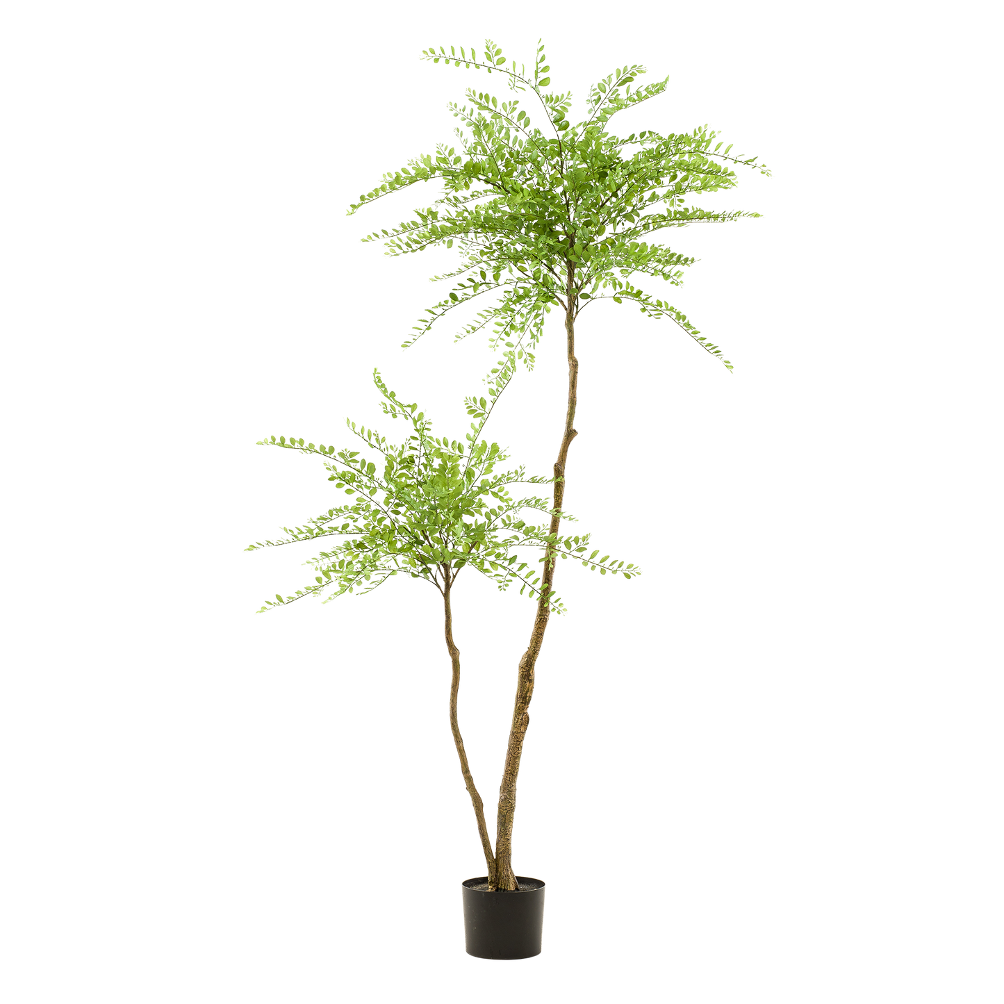 Kunstpflanze Sophora Baum – Honingbaum – 190 cm – Dekorativer Zimmerbaum – Pflegeleicht – Wohnzimmer, Büro & Flur