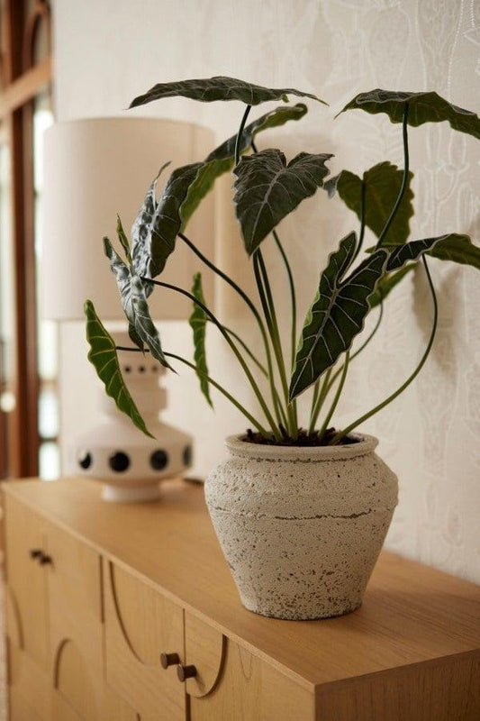 Alocasia Kunstpflanze 80cm – Tropischer Blickfang in Grün – Pflegeleicht & Realistisch – Ohne Gießen – Für Wohnzimmer, Büro & Gastronomie