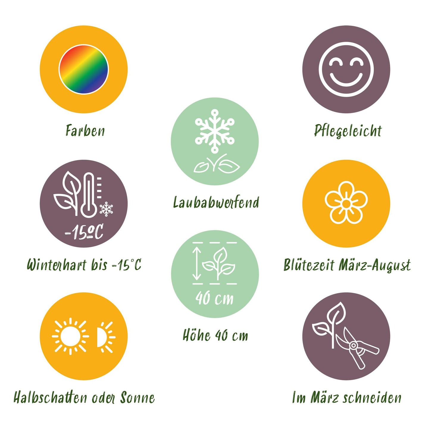 Staudenset – Bodendecker – 24 Stauden für 3 m² – Bunte Blühpflanzen – Pflegeleicht – Unkrauthemmend – Für sonnige Standorte – Ø11 cm