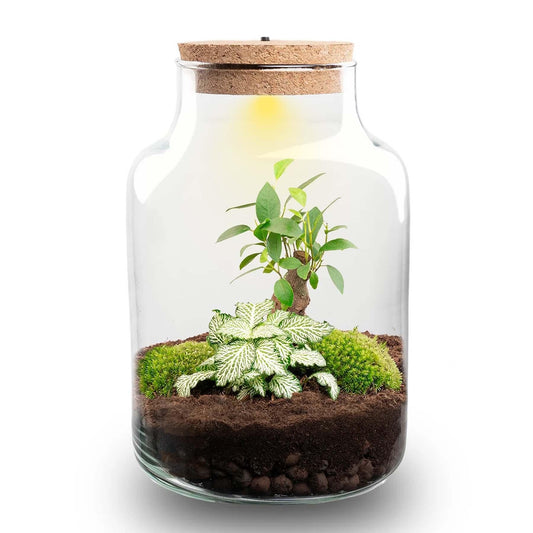 Flaschengarten DIY Bausatz – Terrarium Little Milky mit LED-Kork – Ø17cm x H25cm – Selbstversorgendes Mini-Ökosystem – Inkl. Moos, Pflanzen & Anleitung