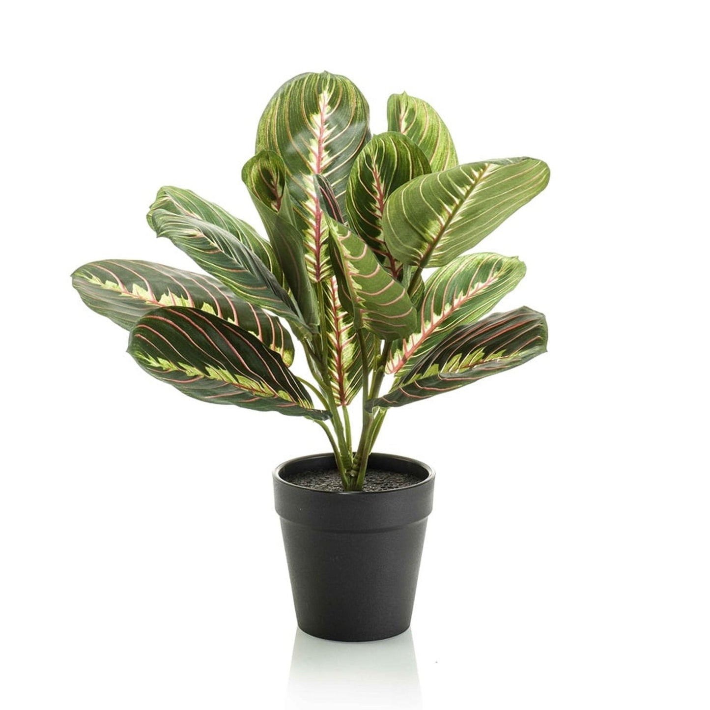 Maranta – Korbmarante – Kunstpflanze – 30cm hoch – Schwarzer Topf Ø12cm – Naturgetreue Blattstruktur – Pflegefrei & kompakt – Für Regal, Fensterbank & Schreibtisch