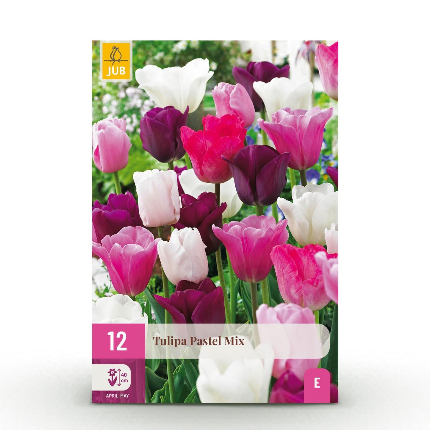 GreenboutiQ - Blumenzwiebeln - Tulp Pastel mix - Verschiedene Farben - 12 Stück - Zwiebelgröße 11/12 - XXL Pack