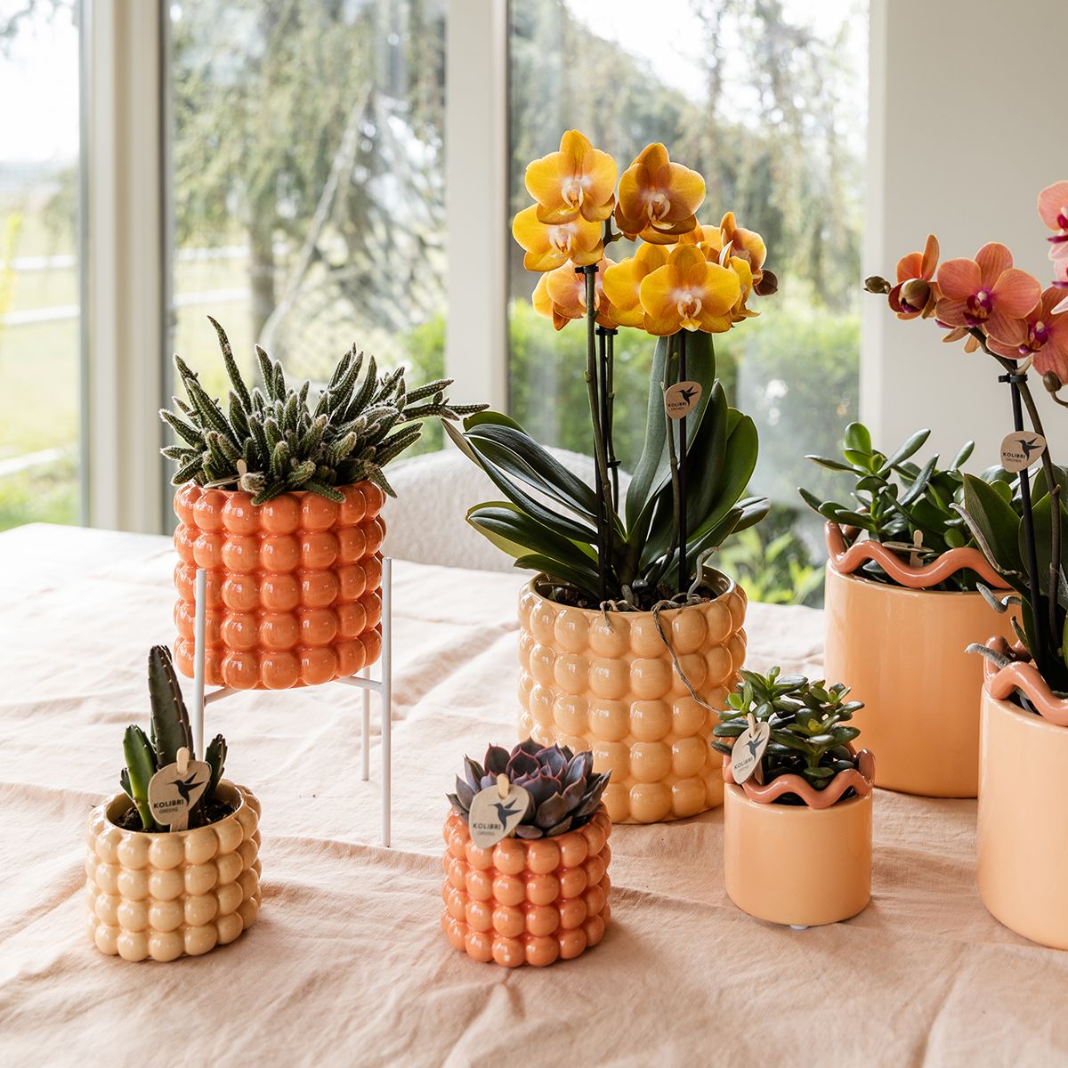 Kolibri Home | Poppy Ziertopf - Orange - Ø9cm