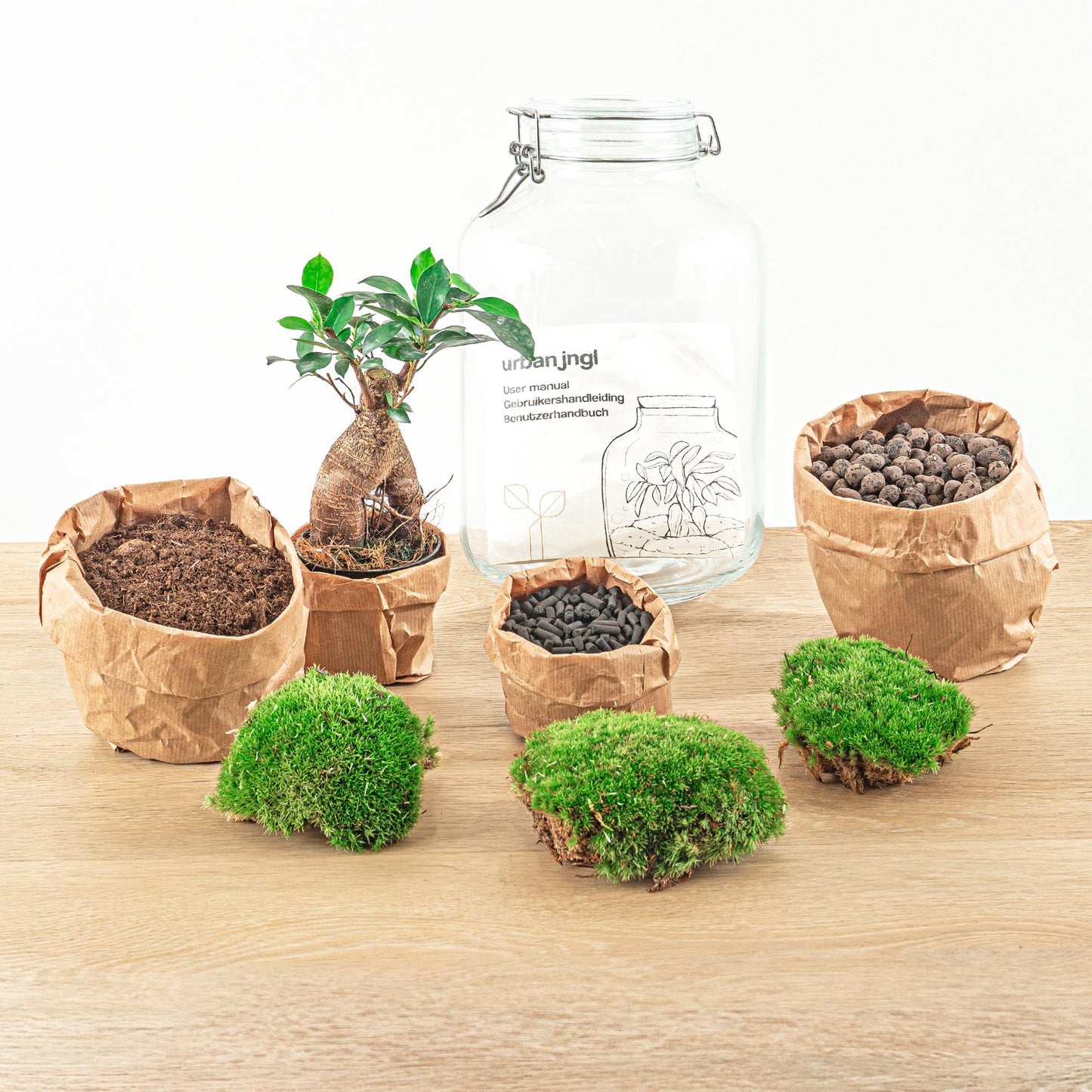 Flaschengarten DIY Bausatz Ficus Ginseng Bonsai – Terrarium Ø18cm x H28cm – Selbstbewässerndes Mini-Ökosystem – Do-It-Yourself Pflanzterrarium mit Moos & Zubehör
