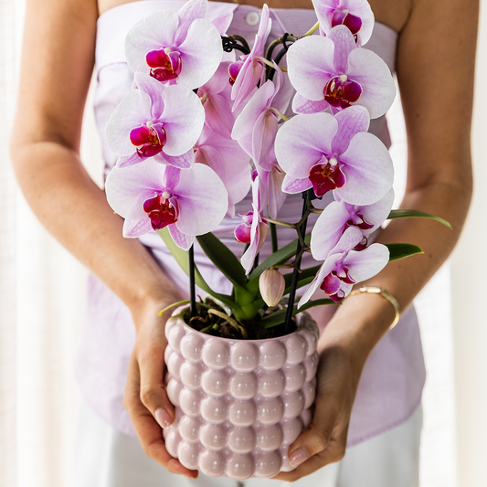 Kolibri Home | Poppy Ziertopf - Pink - Ø9cm