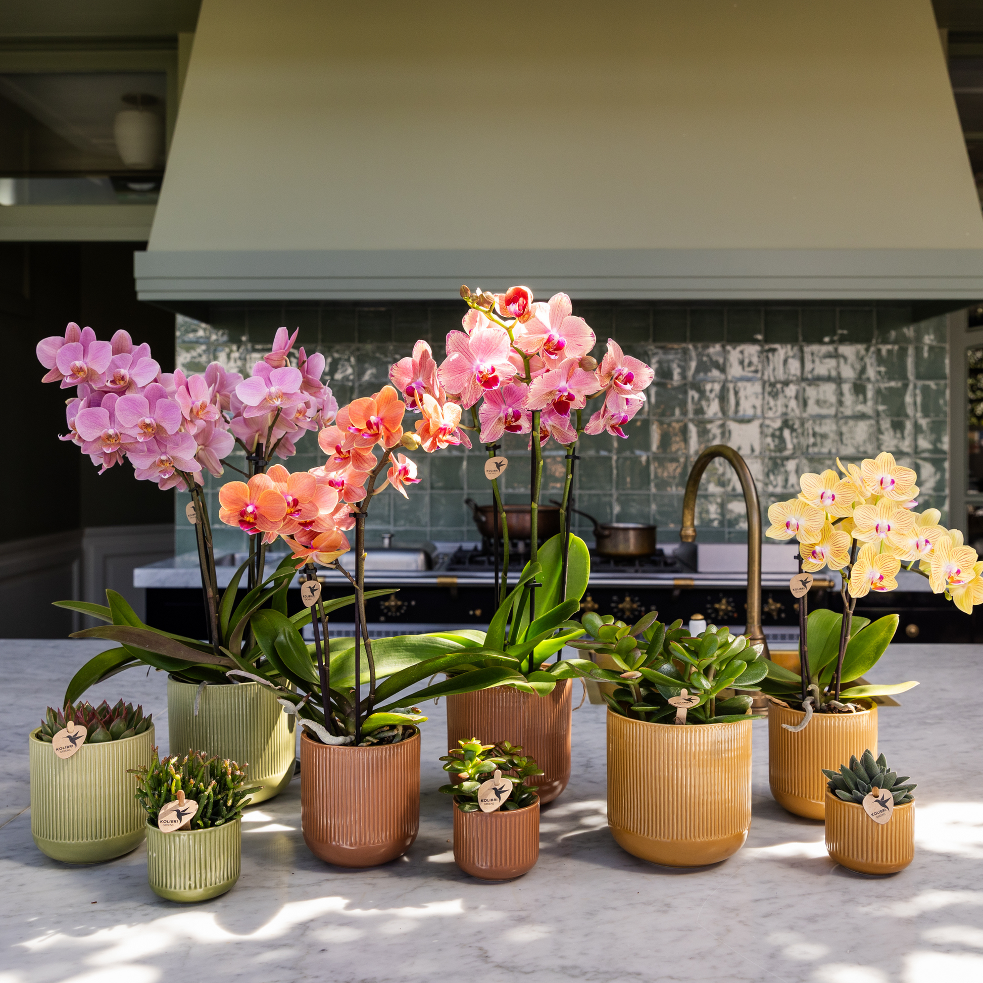 Flare Dekotopf Green – Ø12cm – Grüner Blumentopf mit Rillenstruktur – Retro-Design im Stil der Bold Seventies – Für Innenräume & stilvolle Pflanzenpräsentation