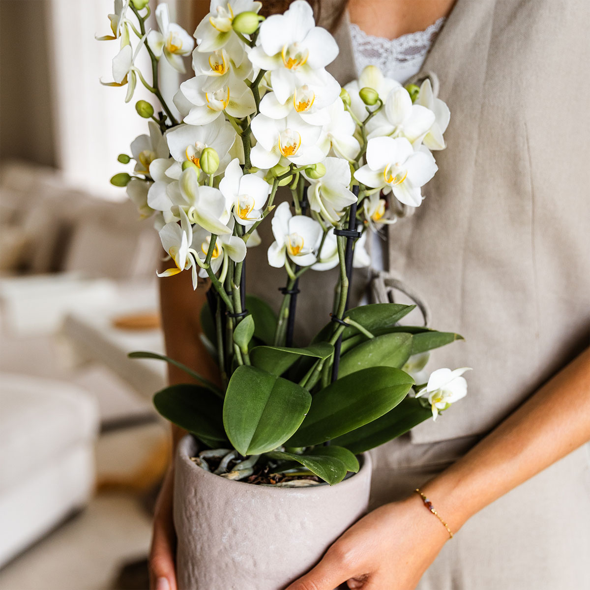 Rustic Zierpflanztopf Sand – Ø12cm – Blumentopf in natürlichem Sandton – Organische Form im Slow Living Stil – Minimalistisches Design für Innenräume