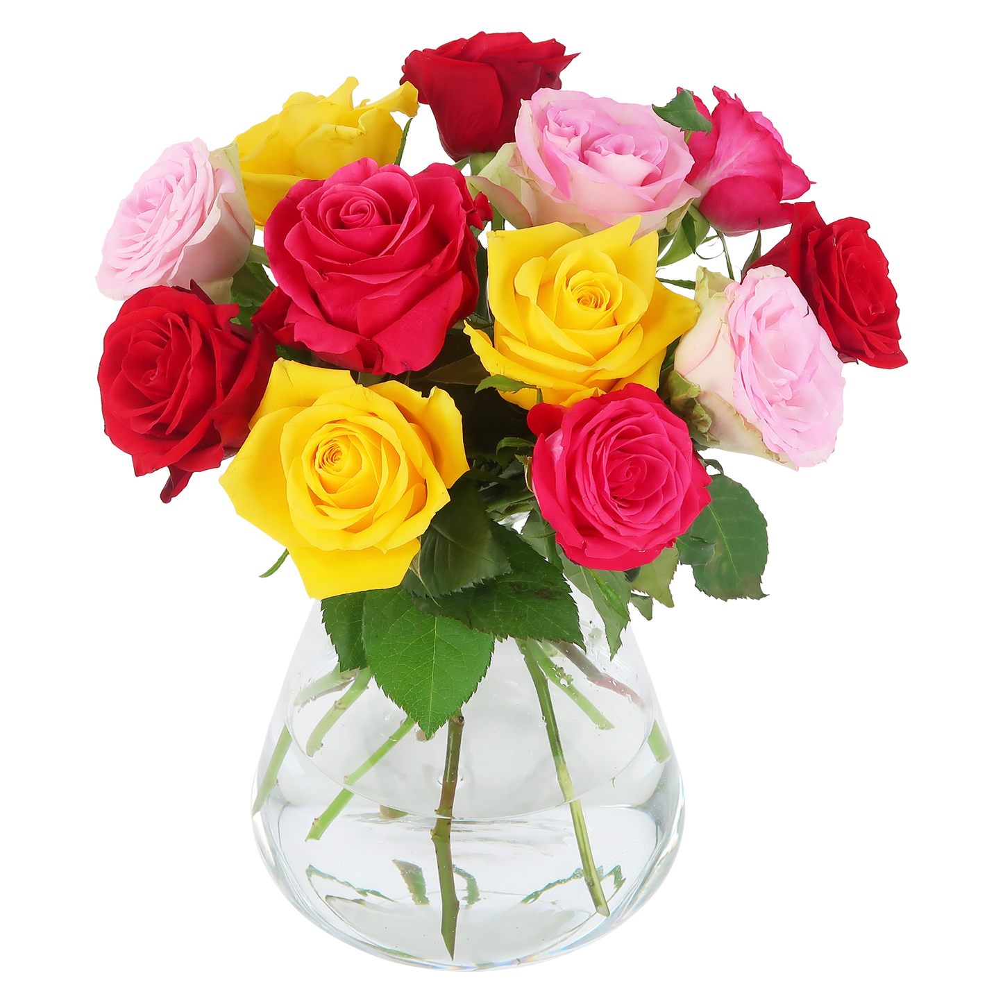 Briefkastenstrauß Bunt – 12 Bunte Rosen – 32 cm – Frischer Blumenstrauß für Geburtstage, Glückwünsche & Überraschungen – Mit Blumennahrung – Frisch vom Züchter