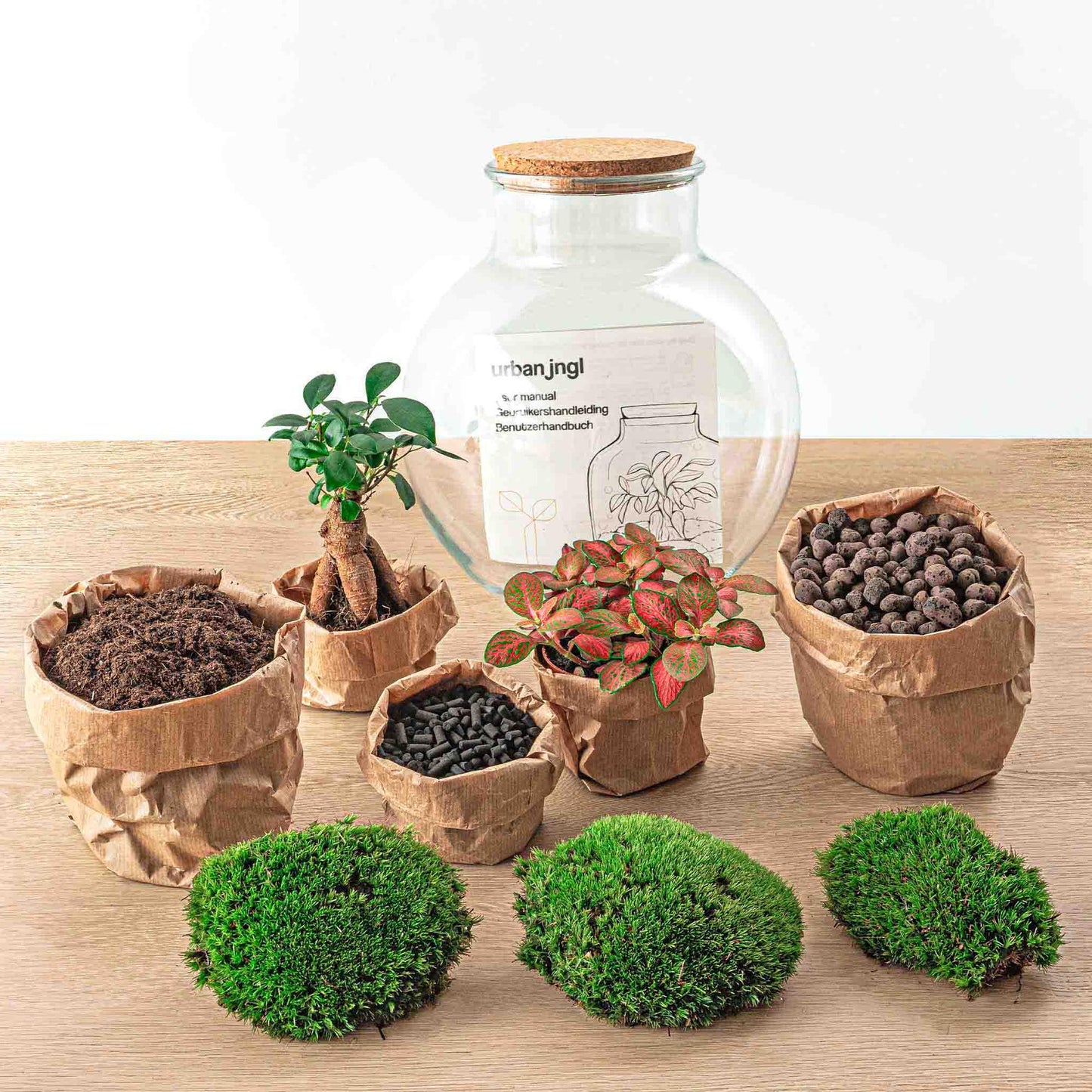 Flaschengarten DIY Bausatz Teddy Bonsai – Terrarium Ø25cm x H26,5cm – Do-It-Yourself Pflanzterrarium – Autarkes Mini-Ökosystem – Für Zuhause & Büro