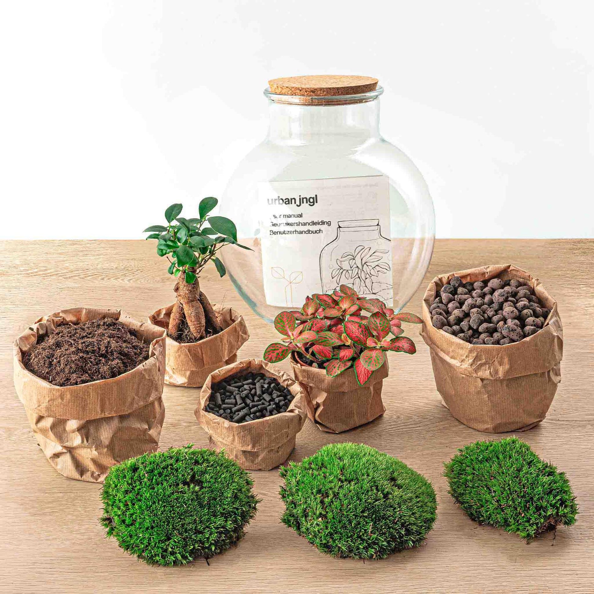 Flaschengarten DIY Bausatz Teddy Bonsai – Terrarium Ø25cm x H26,5cm – Do-It-Yourself Pflanzterrarium – Autarkes Mini-Ökosystem – Für Zuhause & Büro