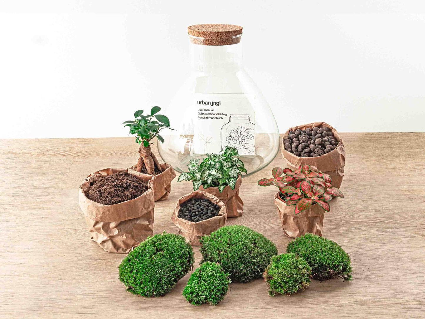 Flaschengarten Terrarium Sam XL Bonsai – DIY Bausatz – 35cm Hoch – Ø30cm – Selbstgebautes Mini-Ökosystem mit Ficus-Ginseng-Bonsai & Fittonia – Komplett-Set für Anfänger & Naturfreunde