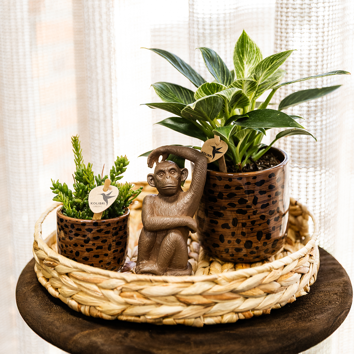 Leoparden-Ziertopf – Ø6 cm – Dekotopf mit Leopardenmuster – Pflanztopf aus Keramik – Blumentopf für kleine Zimmerpflanzen & Sukkulenten – Braun/Schwarz – Indoor-Deko