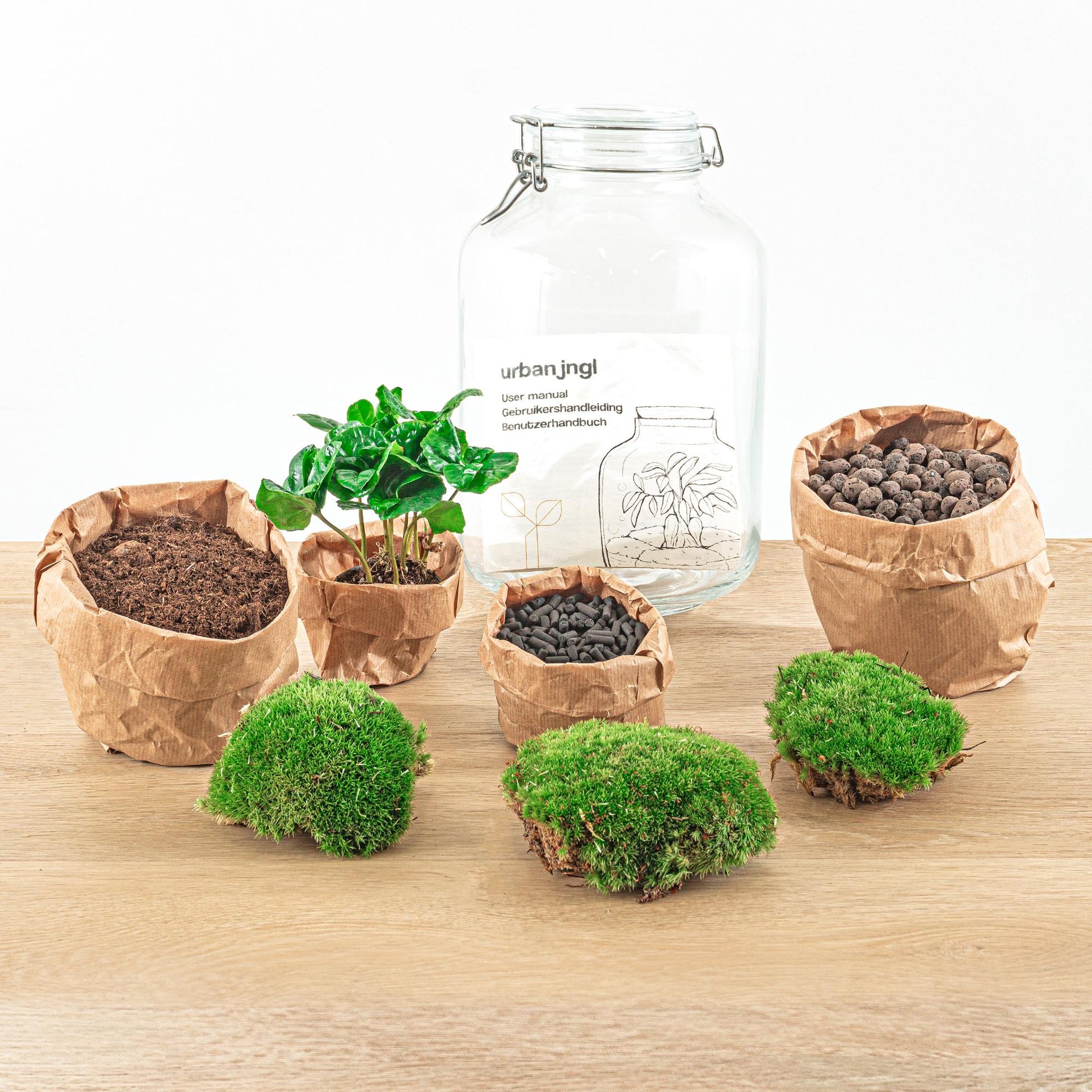 Flaschengarten Coffea Arabica – DIY Bausatz Terrarium – ↕28cm – Do-It-Yourself Pflanzen-Set – Autarkes Mini-Ökosystem mit Kaffeepflanze & Moos – Für Wohnung & Büro
