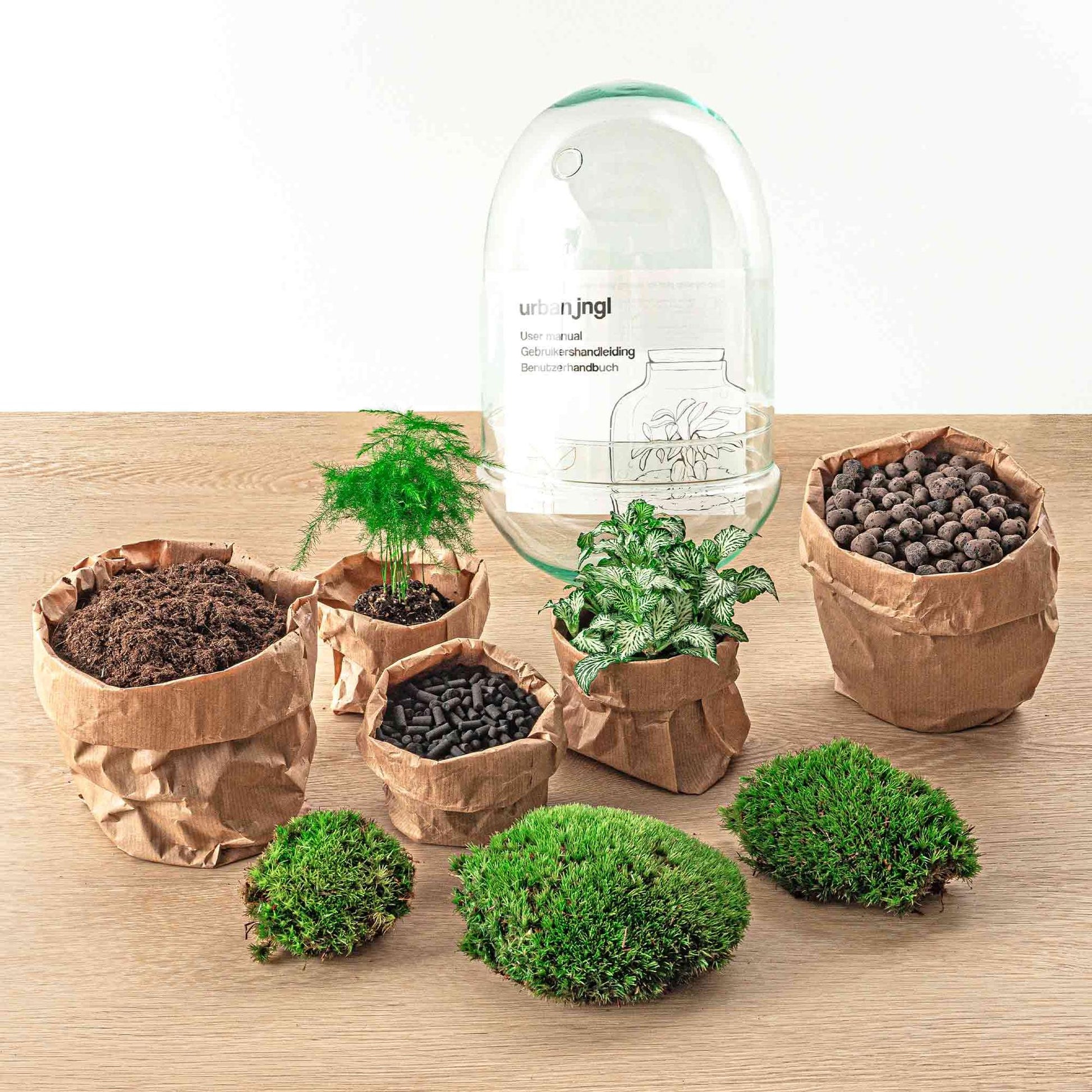 Flaschengarten Egg XL – DIY Bausatz Terrarium – ↕30cm – Do-It-Yourself Pflanzen-Set im Glas mit Korkdeckel – Autarkes Mini-Ökosystem – Inkl. Fittonia, Spargel & Moos – Für Wohnung & Büro