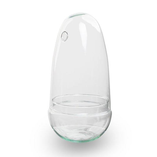 Flaschengarten Ei-Terrarium – Recyceltes Glas – ↑26cm x Ø12cm – DIY Pflanzenglas für Mini-Dschungel & Dekoration