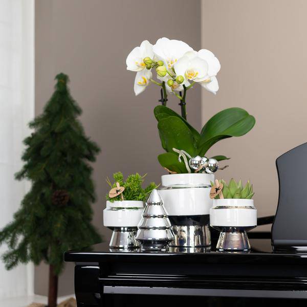 Le Chic Blumentopf Weiß mit silbernen Details – Dekorativer Keramiktopf Ø9cm – Eleganter Ziertopf für Orchideen & Grünpflanzen