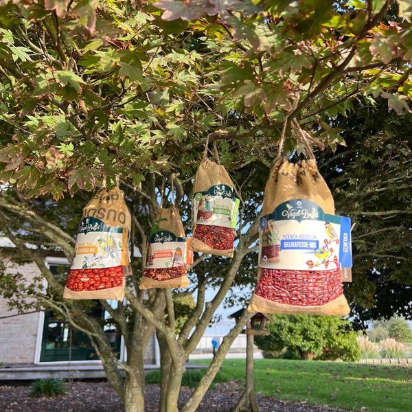 Vogelbuffet - Picknick für Vögel im Freien - 300 Gramm - Zeisige & Baumläufer