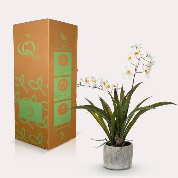 Künstliche Pflanze - Orchidee - Weiß - ↨45cm