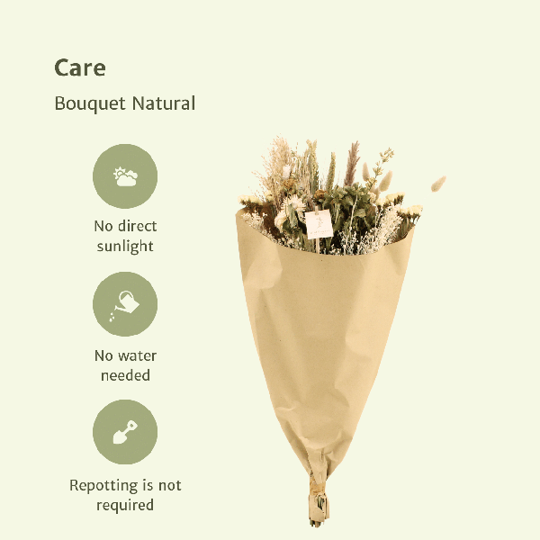 Trockenblumen Feldblumenstrauß – Natürlich – Ø25cm – Höhe 60 cm – Deko für Innenräume – Natürliche Beigetöne & Brauntöne – Nachhaltige Raumdekoration