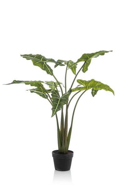 Kunstpflanze - Alocasia Frydek - 120 cm