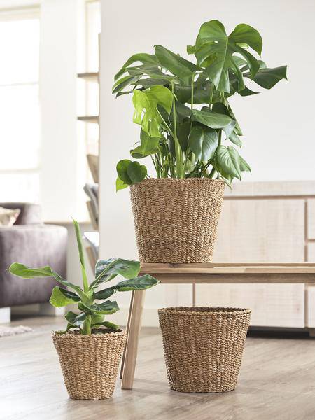 Korb - Hellbraun - Jip Natur - M - H23cm - B26cm