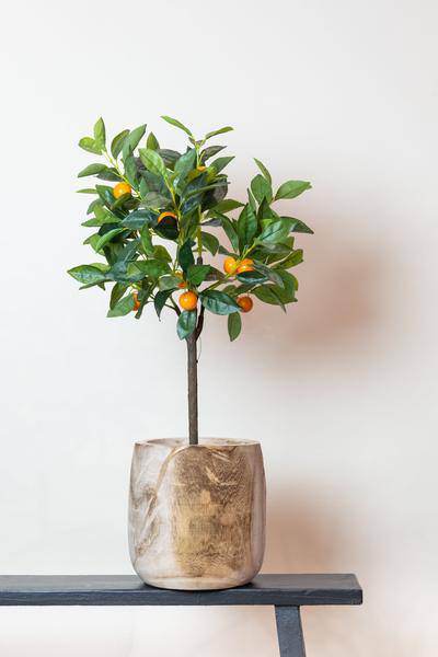 Kunstpflanze - Citrus Sinensis - Orangenbaum - 75 cm